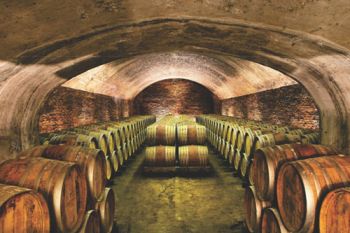 RA MẮT DÒNG SẢN PHẨM HỘP RƯỢU VANG